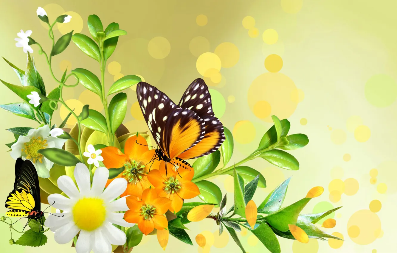 Фото обои листья, цветы, коллаж, бабочка, букет, лепестки, ромашка, мотылек