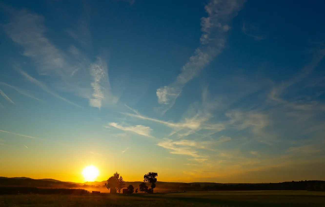 Фото обои поле, небо, солнце, деревья, закат, восход