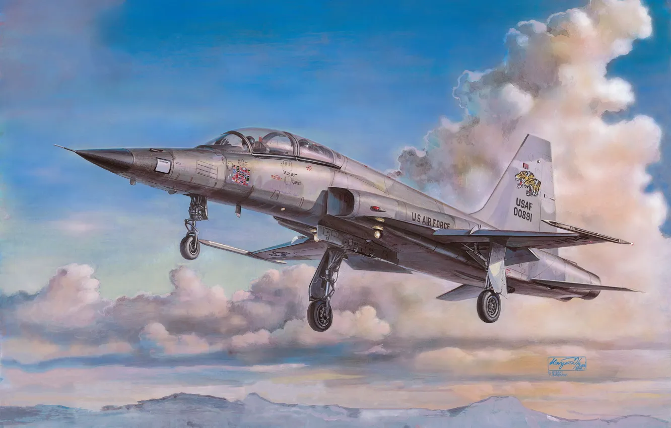 Фото обои легкий, США, многоцелевой истребитель, H.Sasaki & T.Kurokawa, F-5F Tiger II US Air Force, Northrop F-5 …