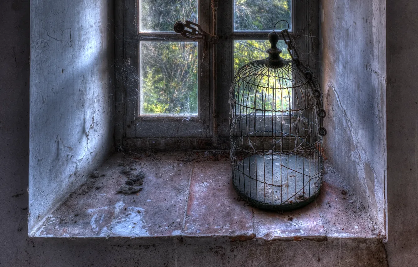 Фото обои свобода, клетка, окно, натурализм
