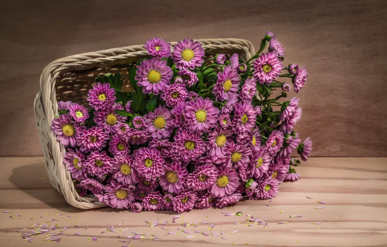 Фото обои корзина, Fine Art, Pink flowers