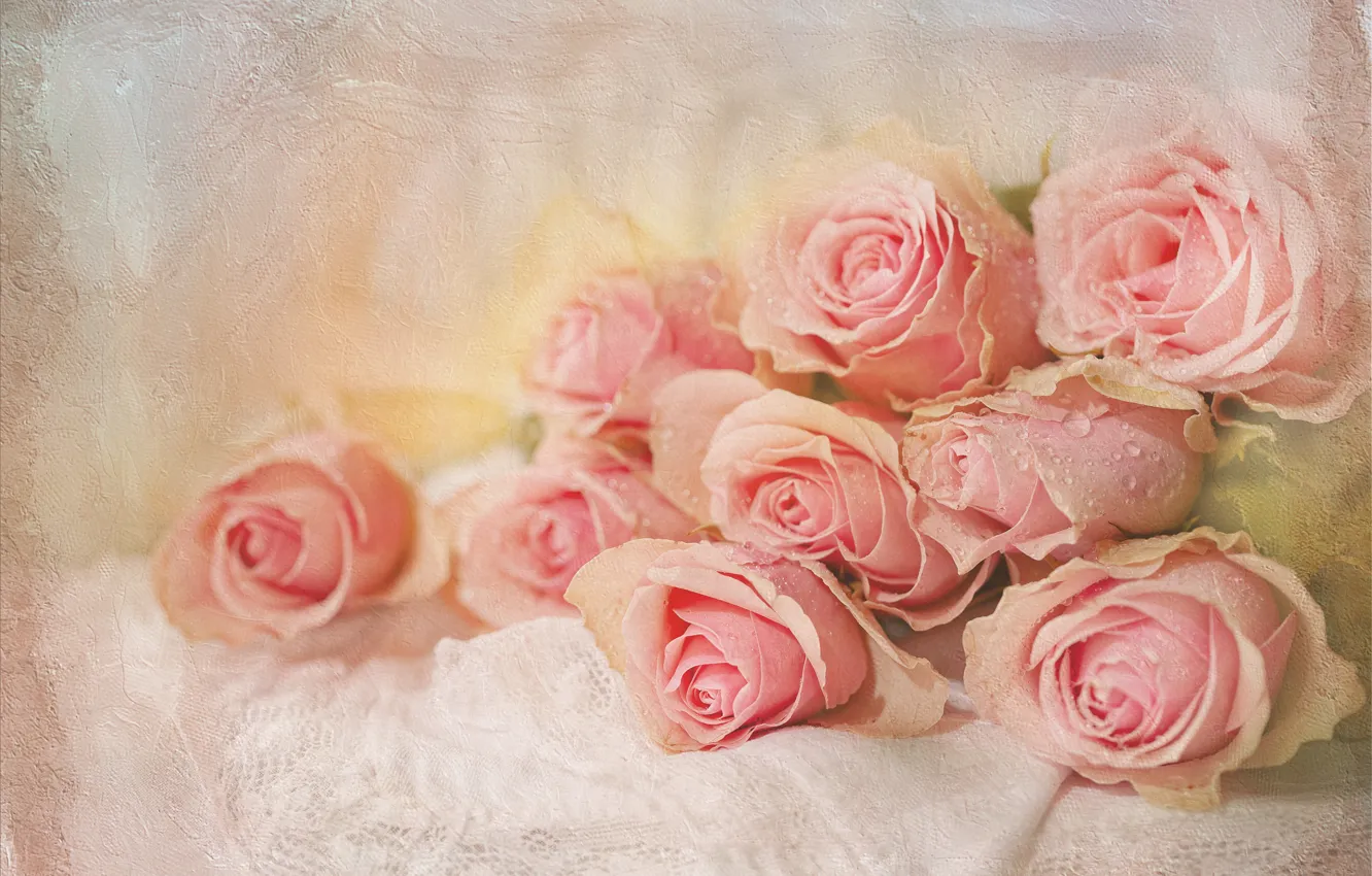 Фото обои капли, цветы, розы, букет, ткань, розовые