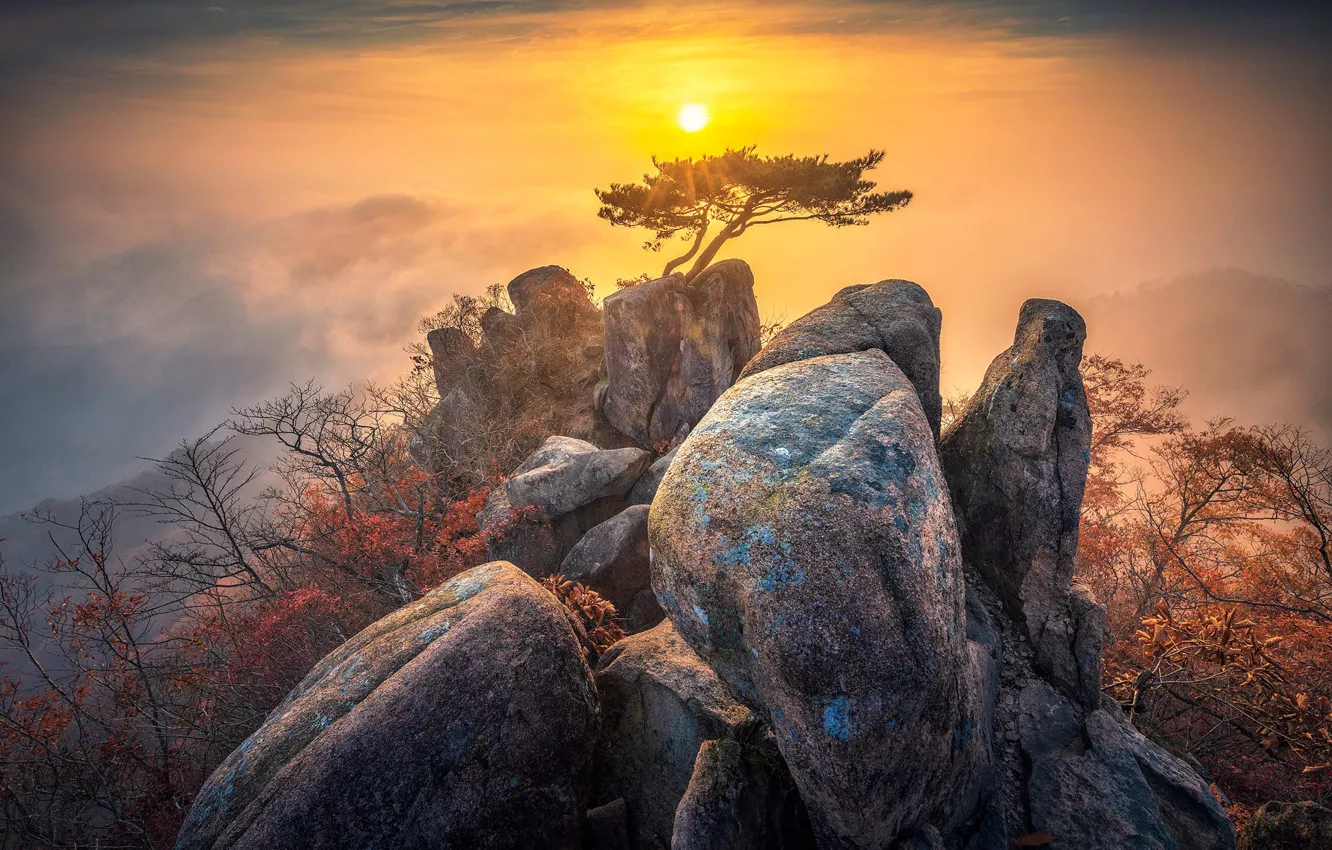 Фото обои осень, небо, солнце, деревья, горы, ветки, туман, камни