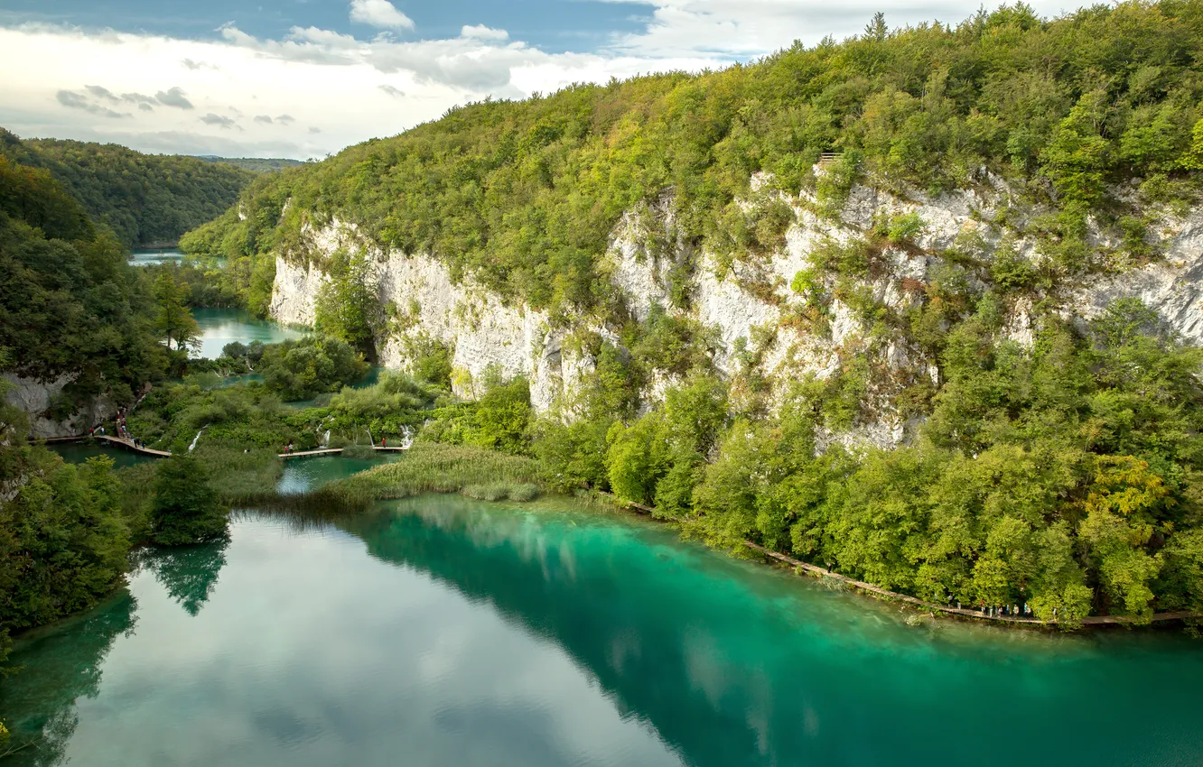 Фото обои лес, мост, скала, река, Хорватия, Плитвицкие озера