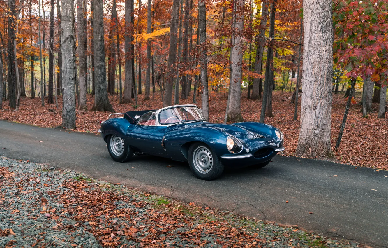 Фото обои Jaguar, vintage, retro, 1957, XKSS, Jaguar XKSS