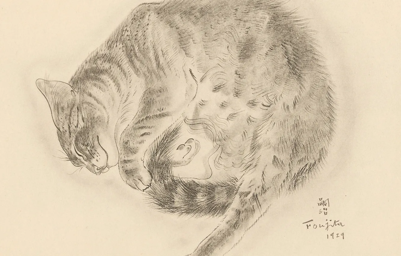 Фото обои кошка, спит, пушистая, 1929, улыбаеться, Цугухару, Фудзита, Книга Кошек