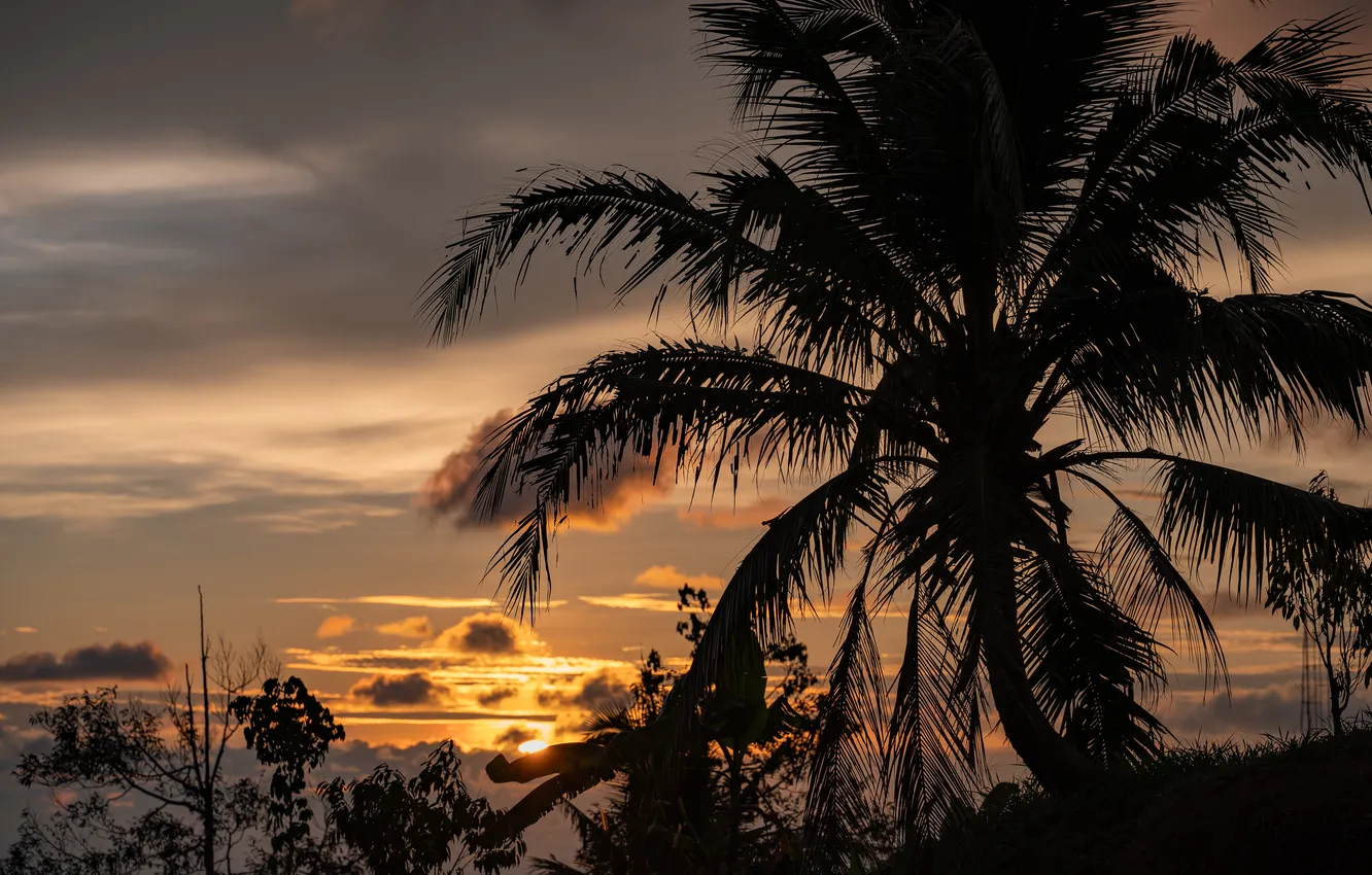 Фото обои лето, небо, солнце, облака, закат, Пальмы, Таиланд, Phuket