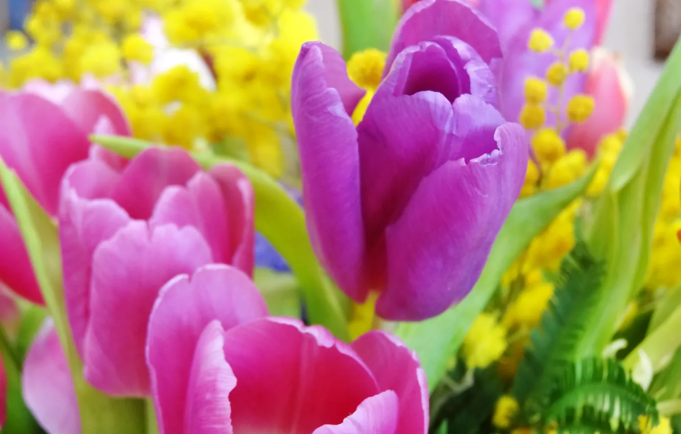 Фото обои цветы, букет, тюльпаны, 8 марта