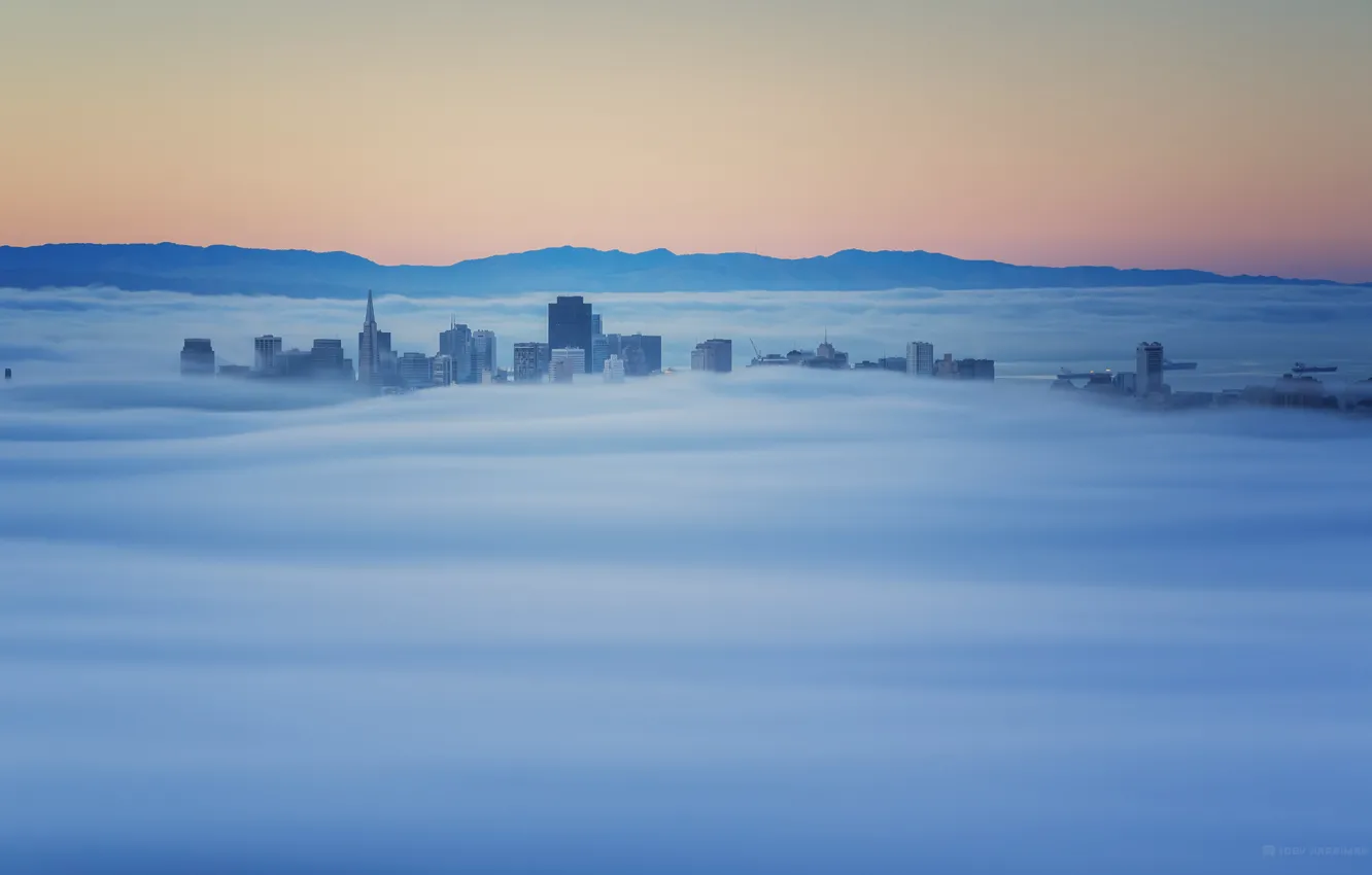 Фото обои туман, рассвет, здания, утро, Калифорния, верхушки, Саусалито