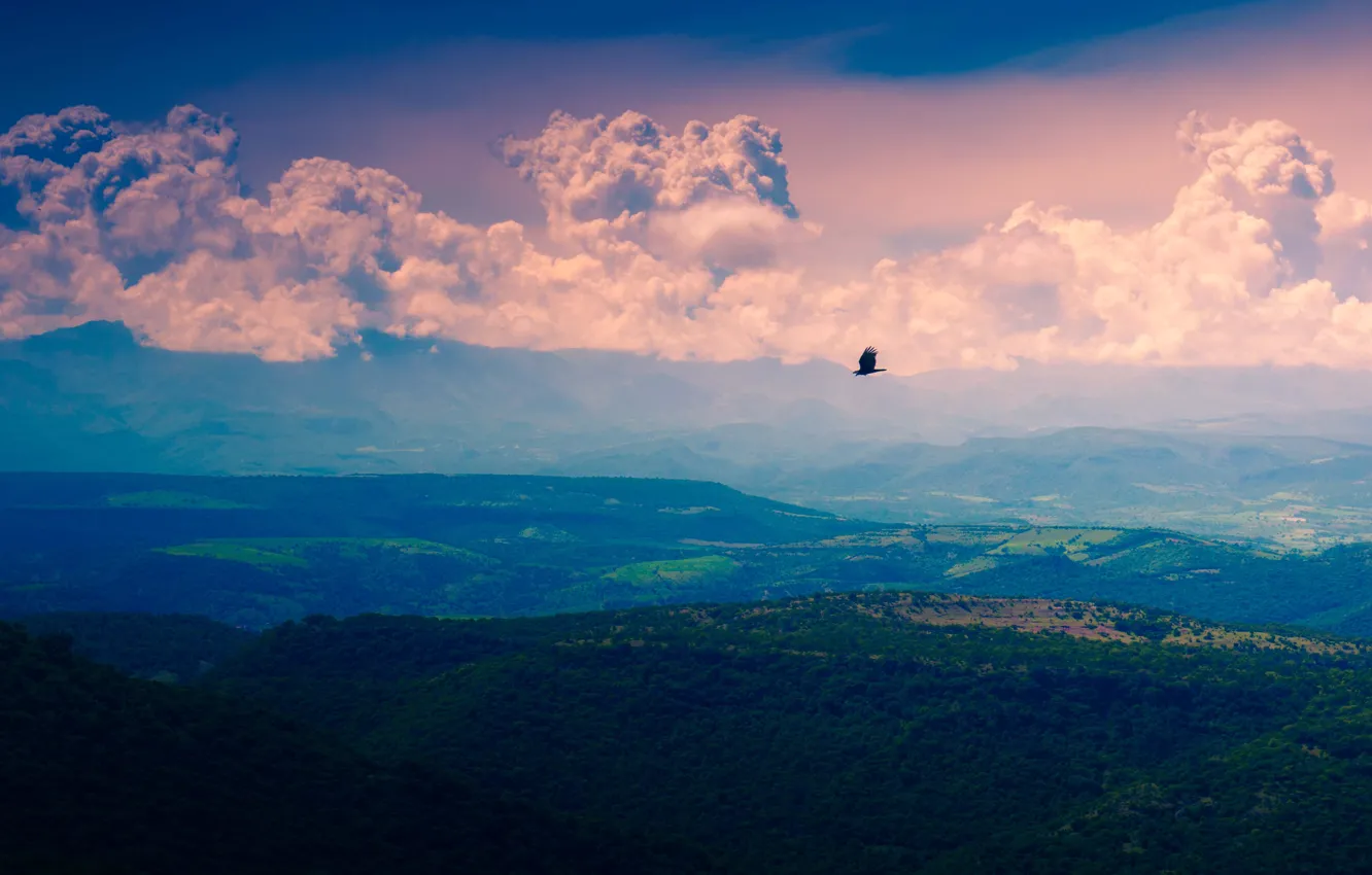 Фото обои flying, bird, flight, mountains, clouds, Valley