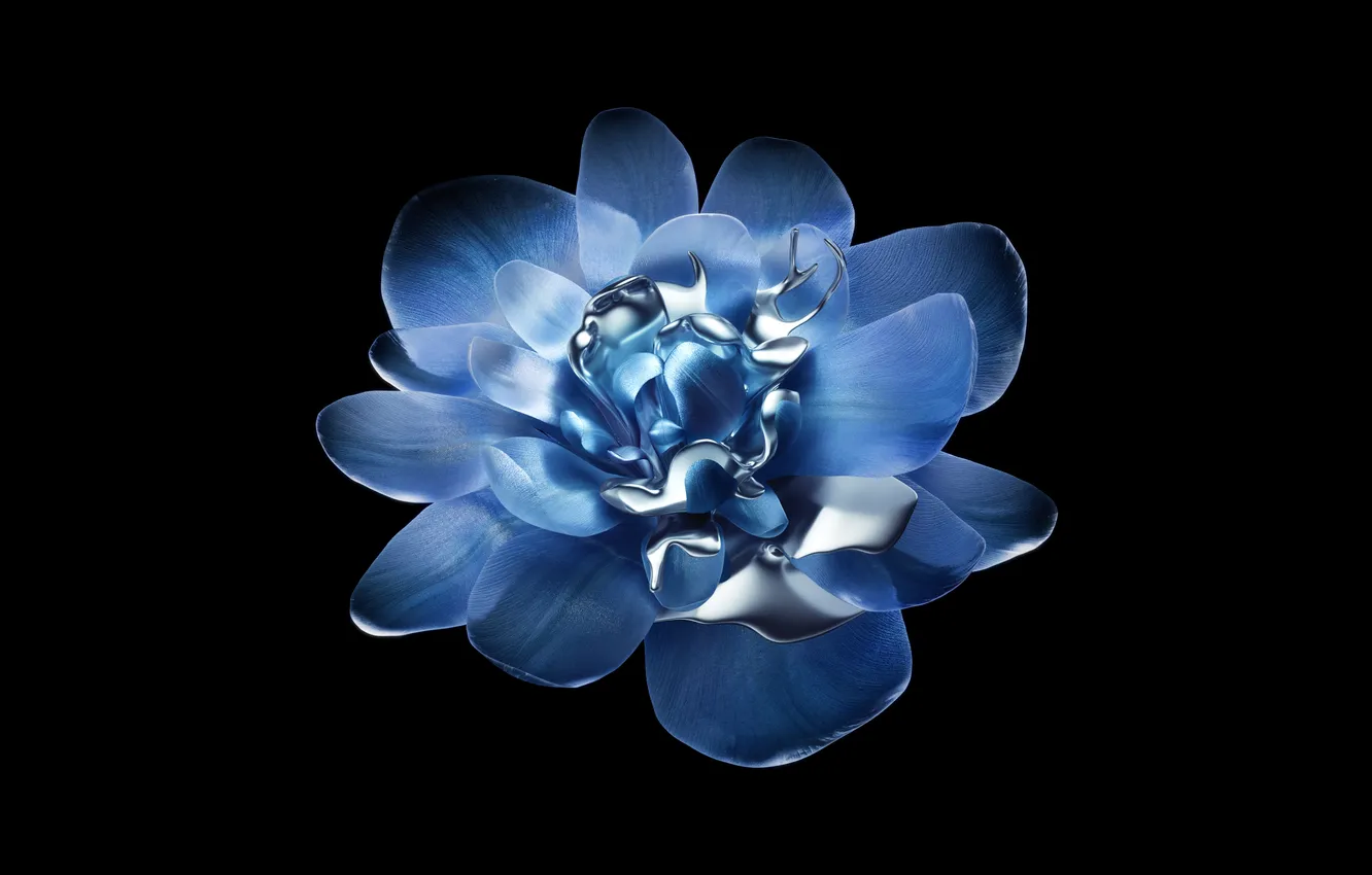 Фото обои Flowers, Metallic, Black background, Abstract flower