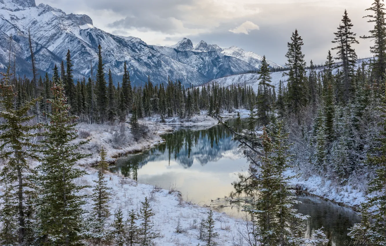 Фото обои зима, лес, деревья, горы, озеро, Канада, Альберта, Alberta