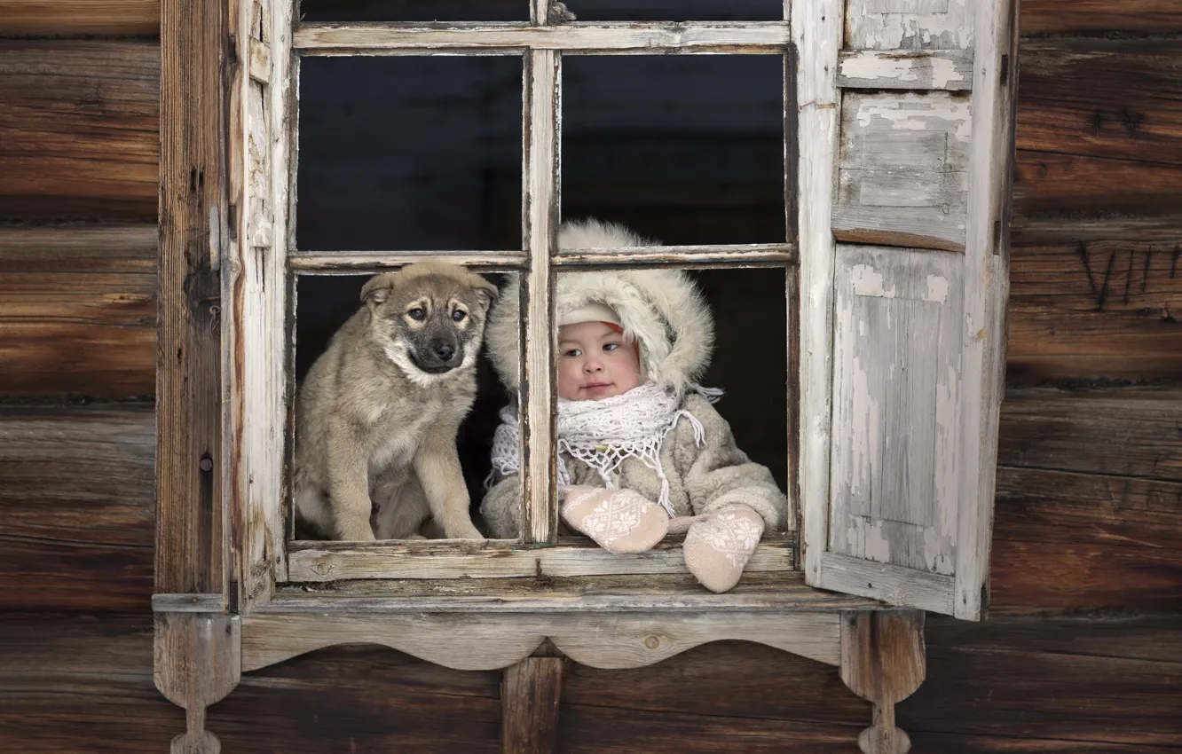 Фото обои дом, собака, окно, девочка