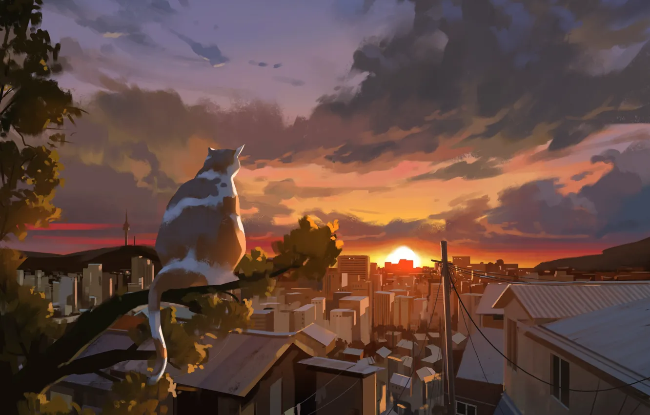 Фото обои кошка, небо, закат, город, дерево