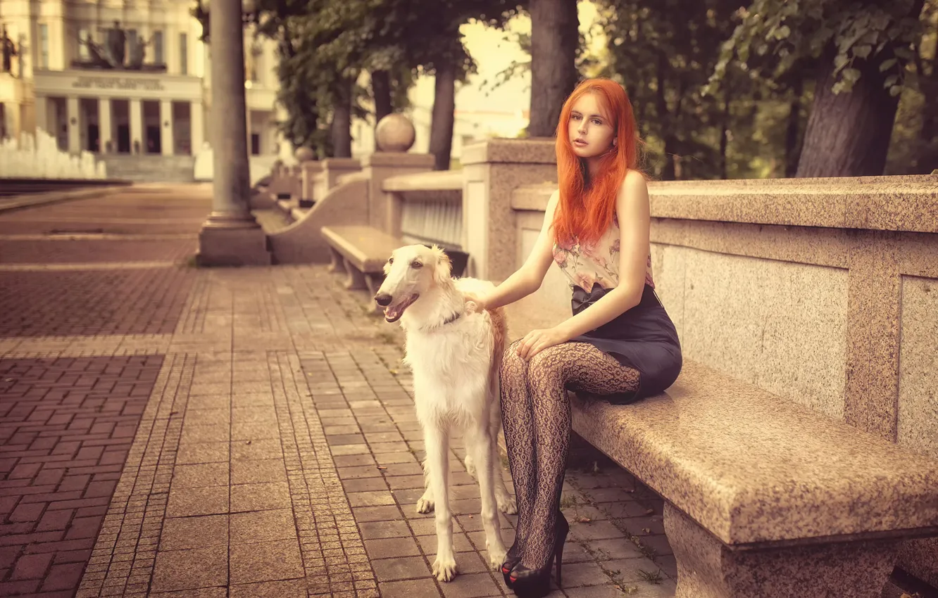 Фото обои девушка, город, собака, Аня, рыжеволосая, скамья, Dmitrij Butvilovskij