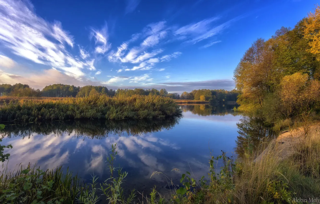 Фото обои осень, небо, деревья, озеро, красота, Aleksei Malygin