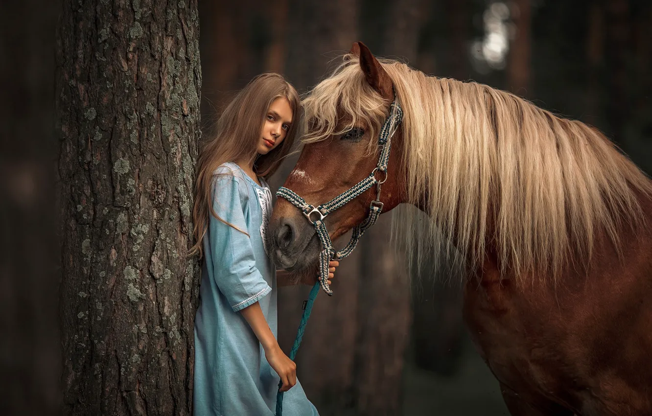 Фото обои взгляд, девушка, дерево, лошадь, Анюта Онтикова
