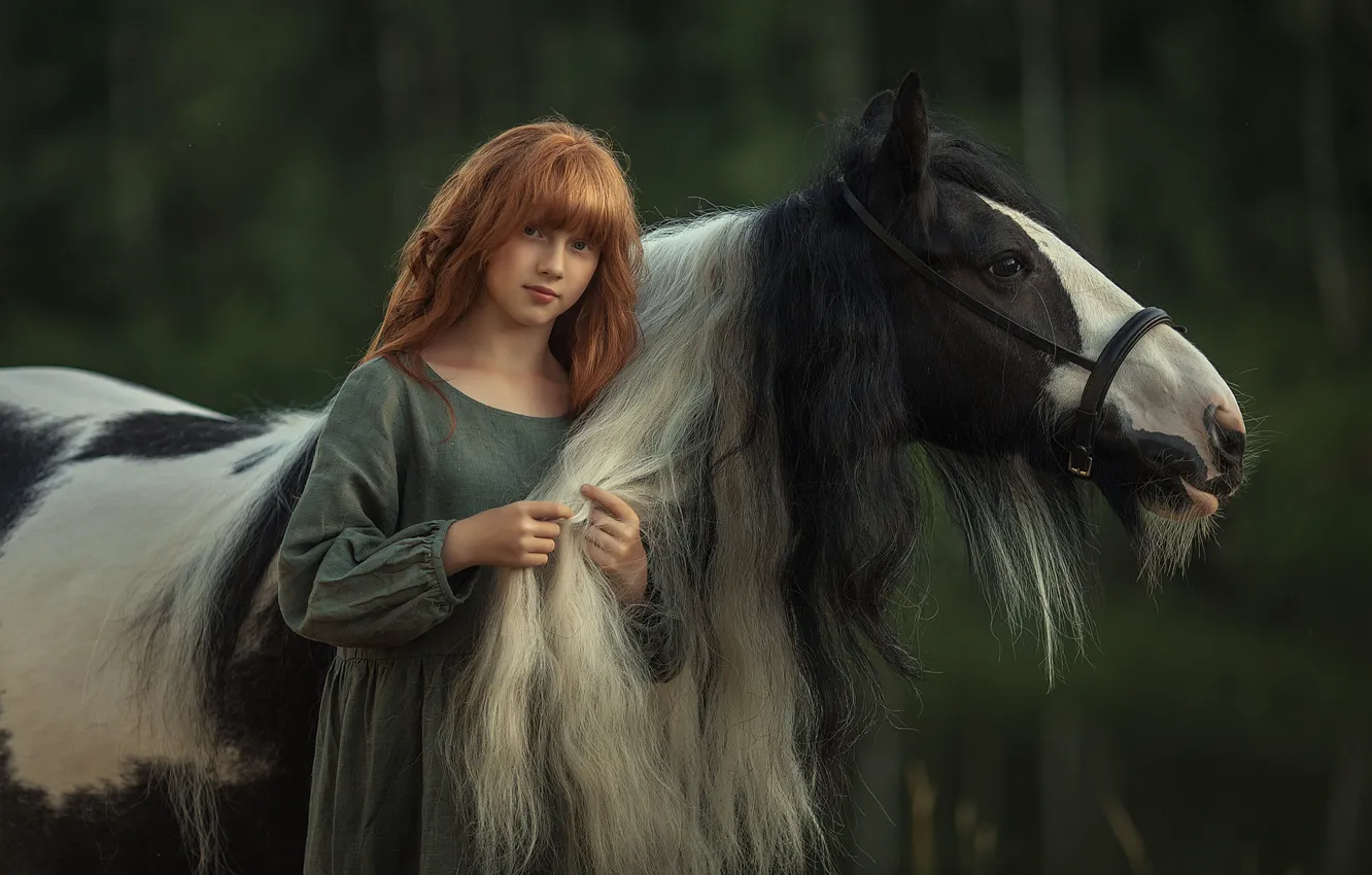 Фото обои взгляд, морда, природа, фон, настроение, конь, лошадь, девочка