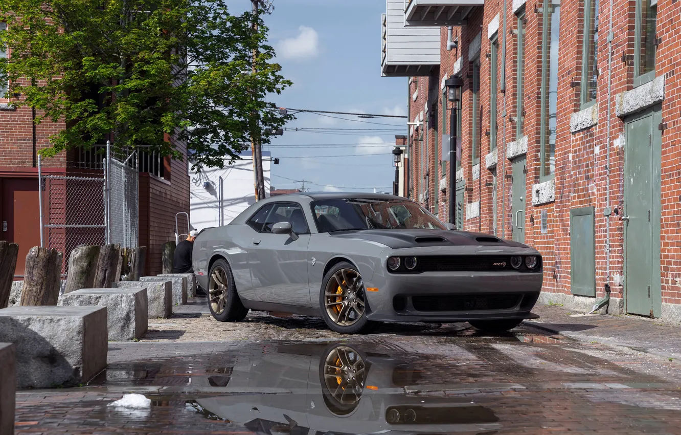 Фото обои Dodge, Challenger, Dodge Challenger, Muscle car, Hellcat, R/T, Widebody, Scat Pack 392