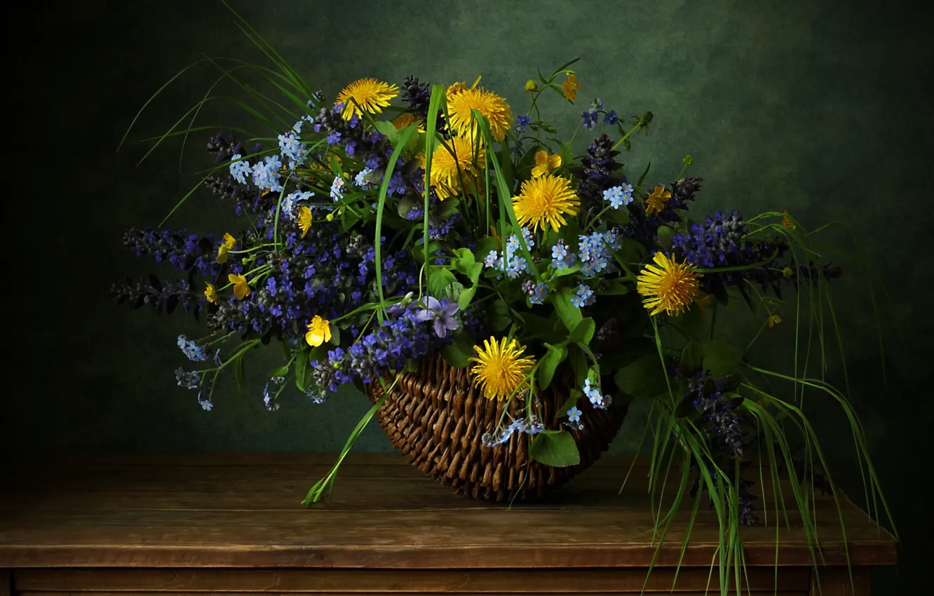 Фото обои одуванчик, корзина, полевые цветы, незабудка