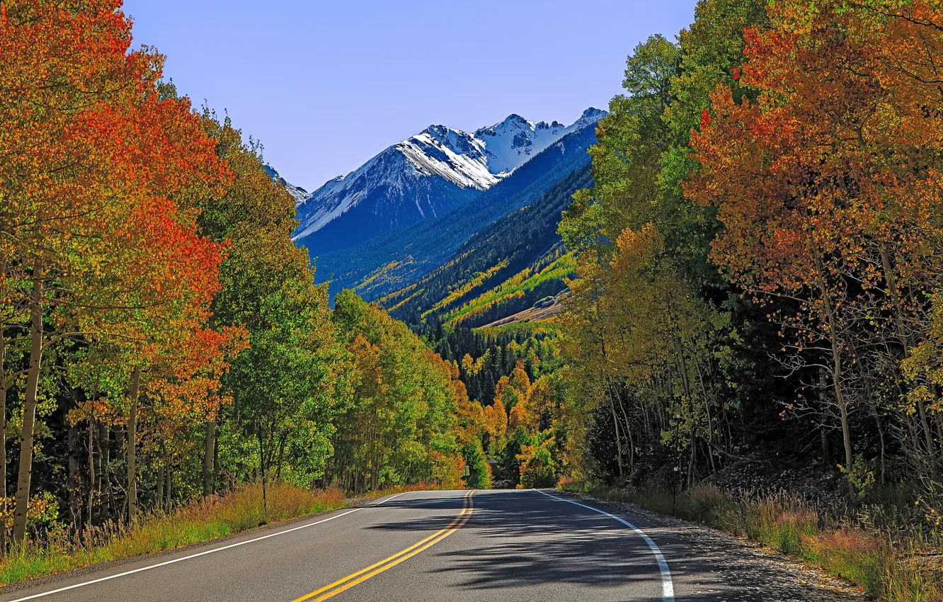 Фото обои дорога, осень, деревья, горы, Колорадо, США, Лайзард Хед Пасс