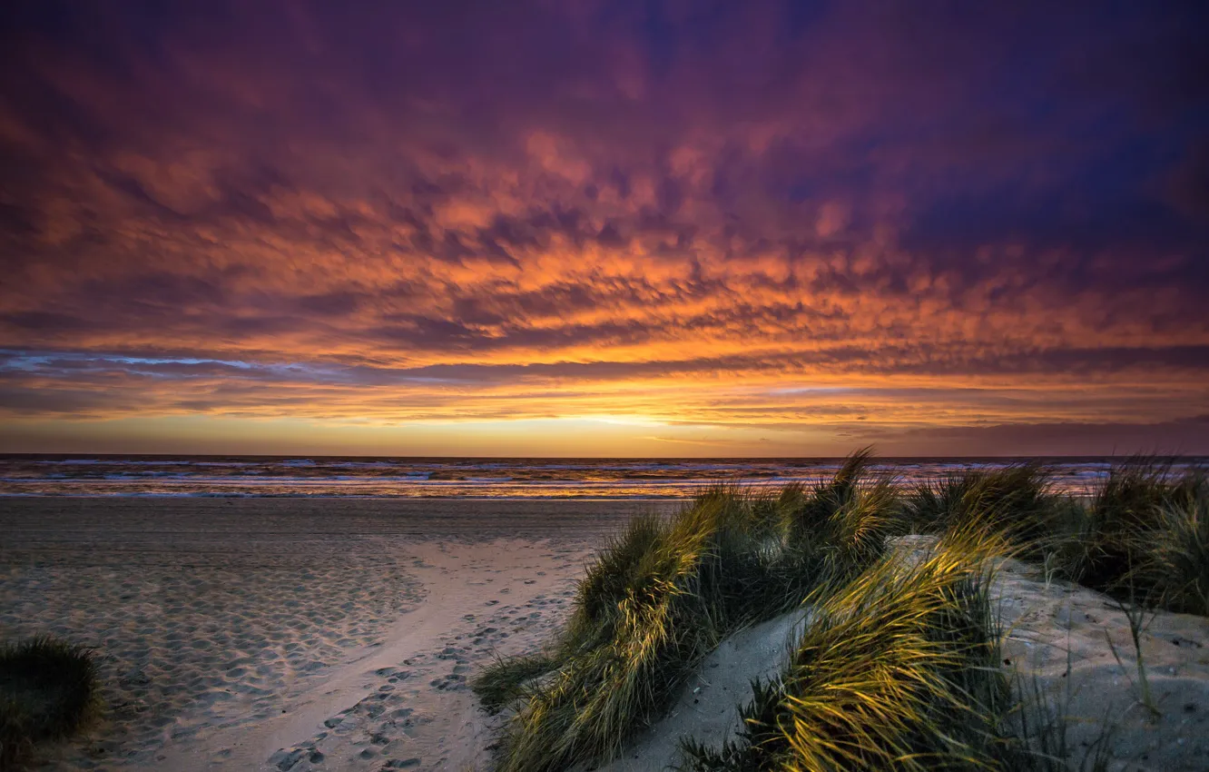 Фото обои sea, sunset, Port Phillip Bay, Chelsea Beach