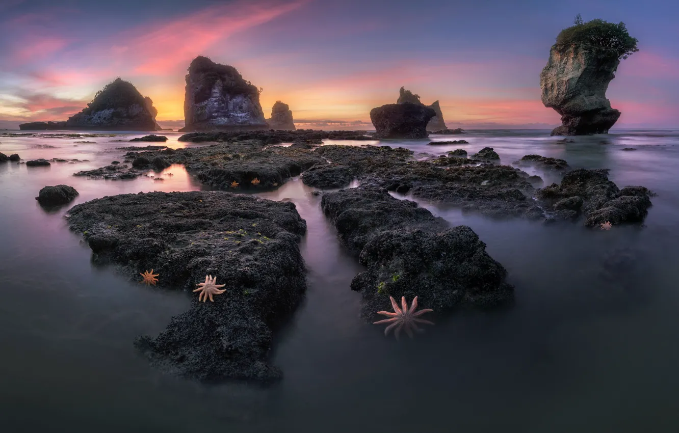 Фото обои West Coast, New Zeland, Motukiekie Beach