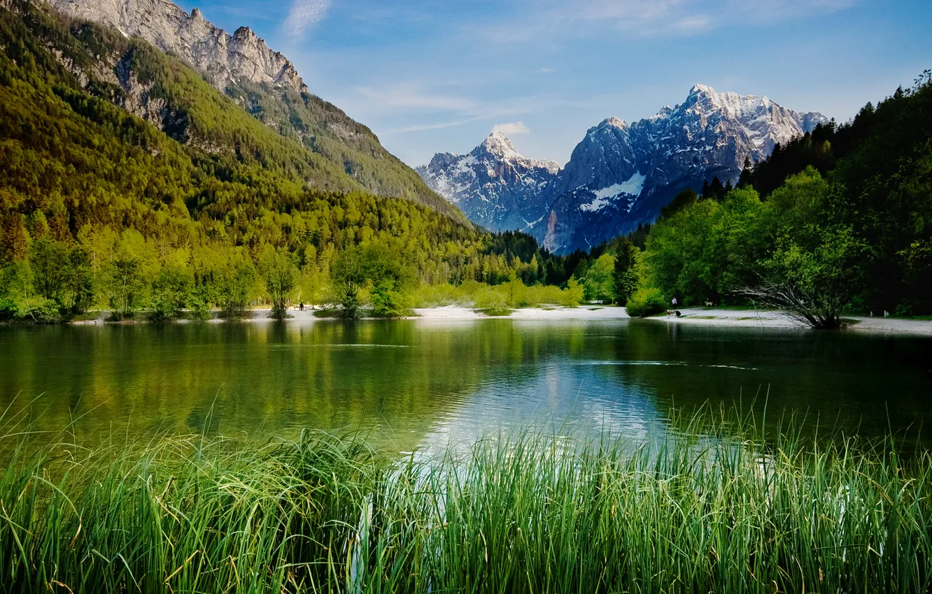 Фото обои лес, деревья, горы, озеро, камыши, скалы, Словения, Lake Jasna