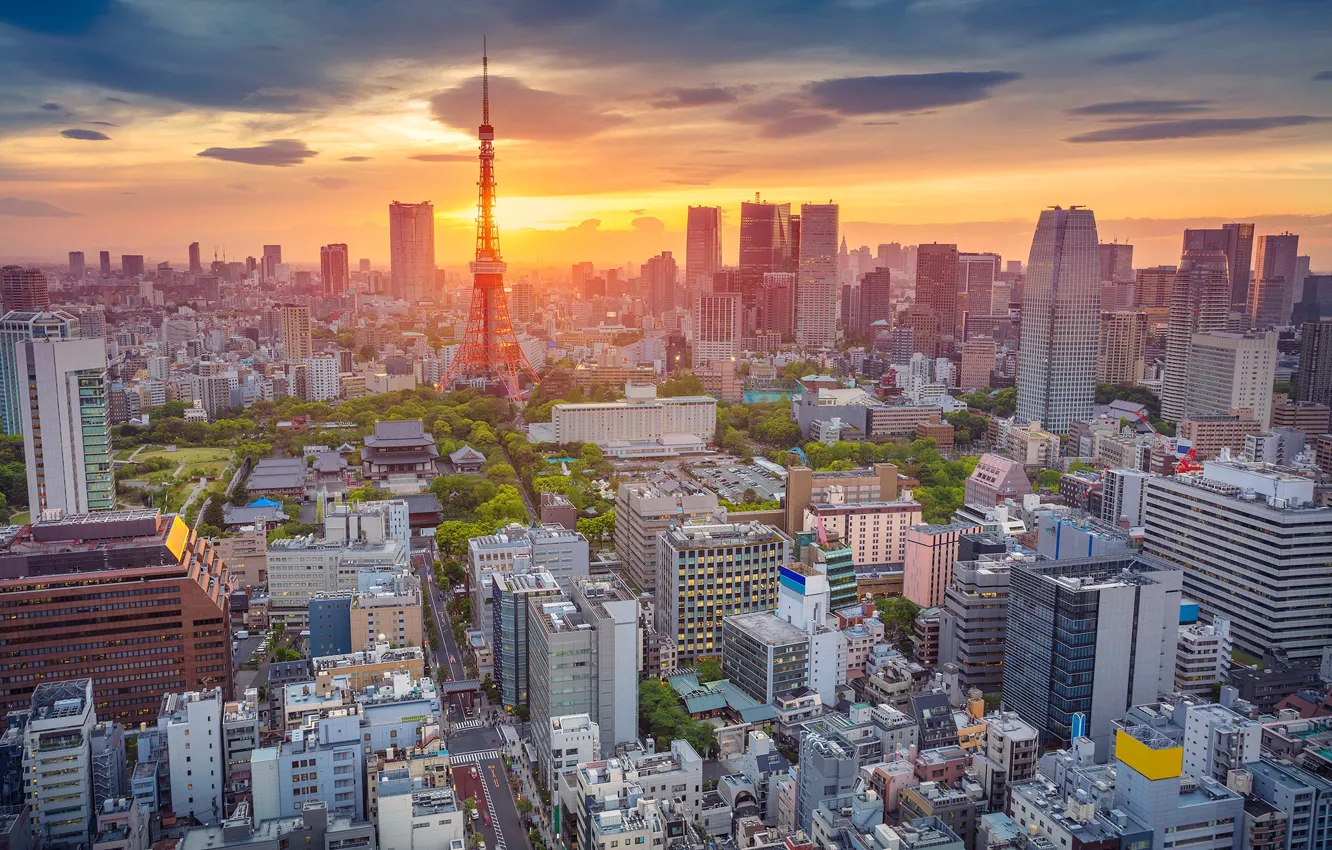 Фото обои башня, дома, Япония, Токио, панорама
