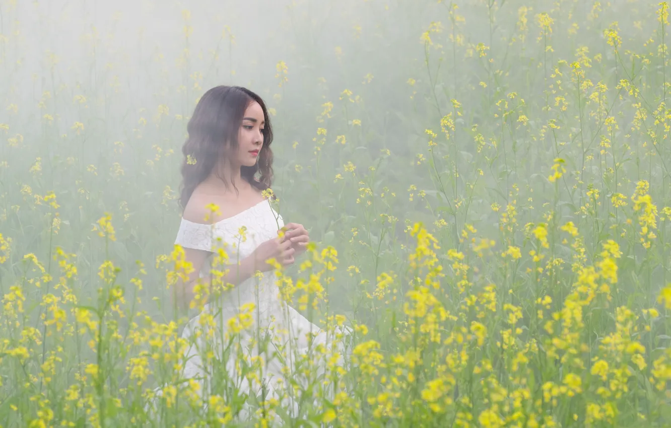 Фото обои цветы, природа, туман, модель, луг, азиатка