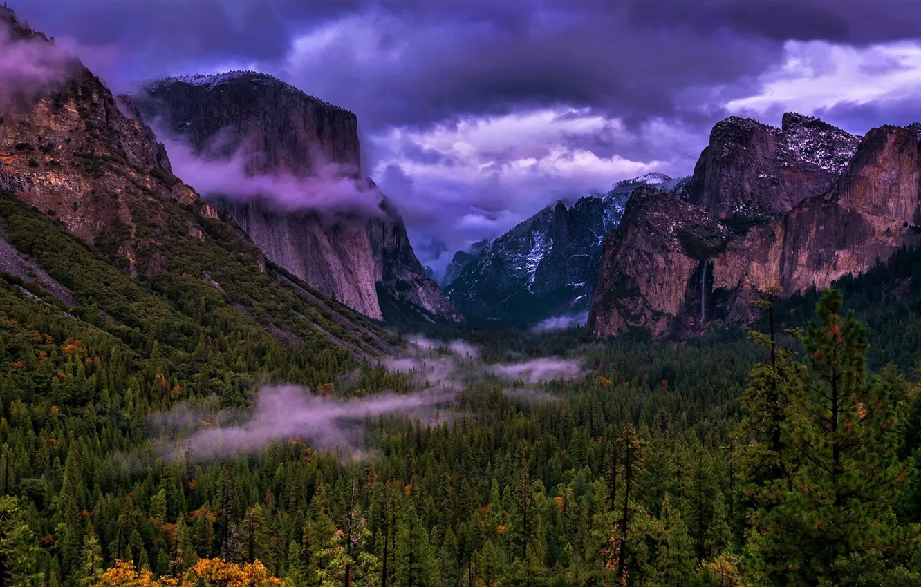 Фото обои лес, небо, парк, скалы, вечер, Калифорния, США, Йосемити