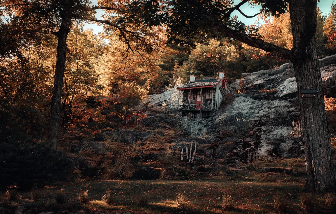 Фото обои дом, дерево, гора