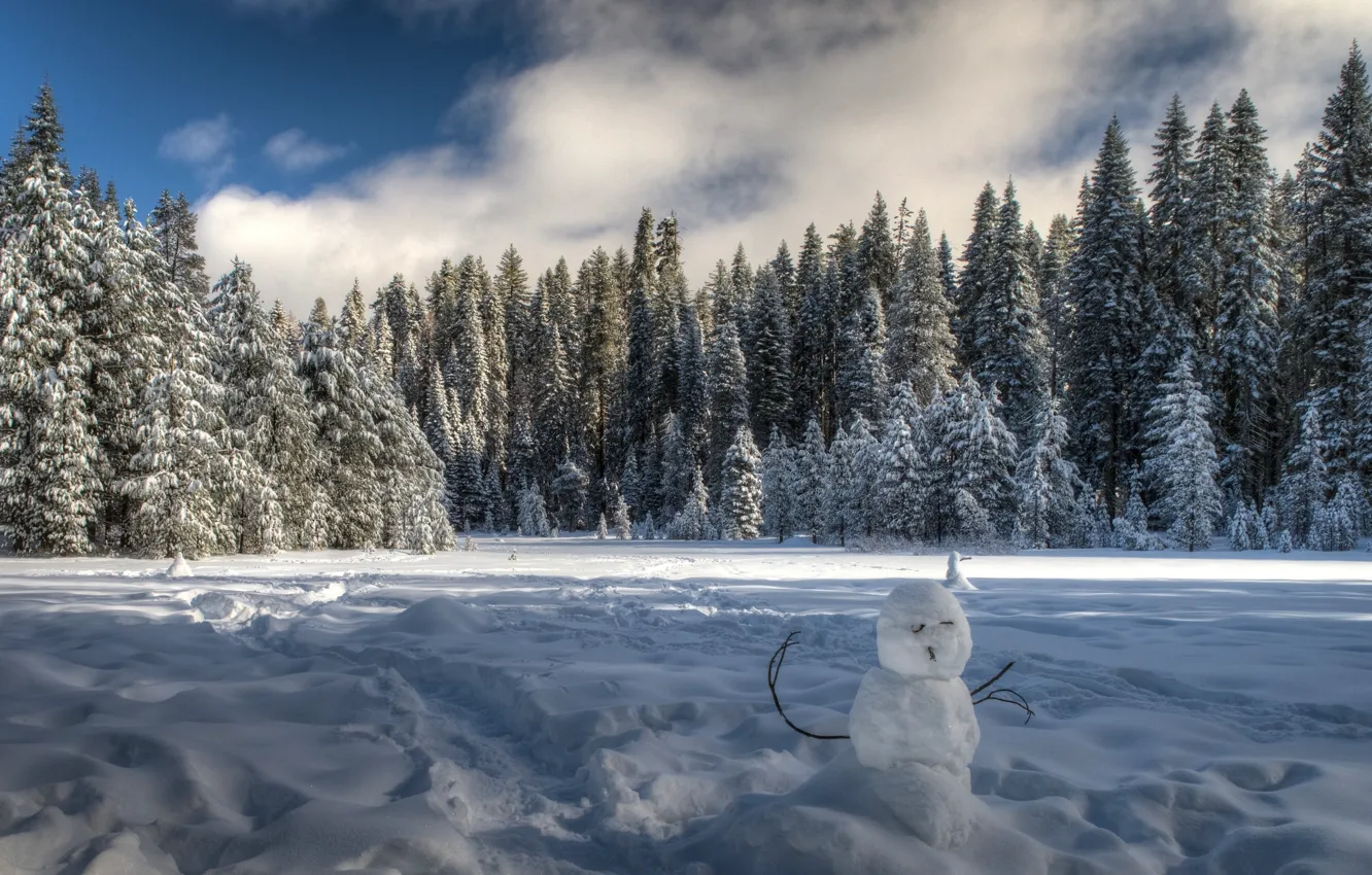 Фото обои зима, лес, снег, деревья, ели, Калифорния, снеговик, Йосемити