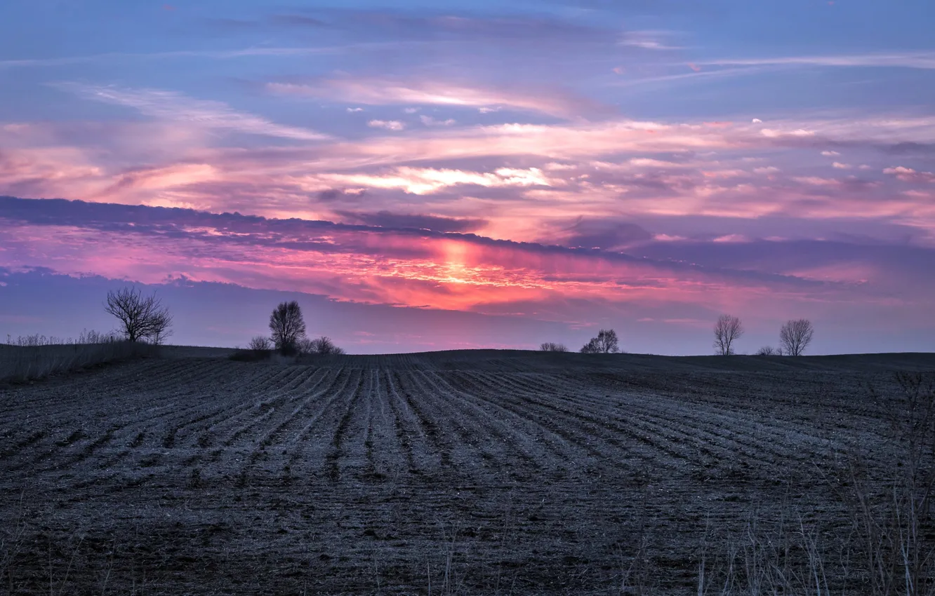 Фото обои поле, небо, закат