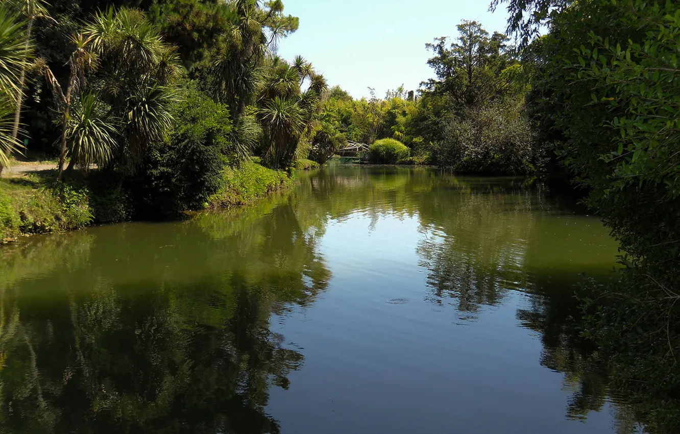 Фото обои пруд, Адлер, Парк южных культур