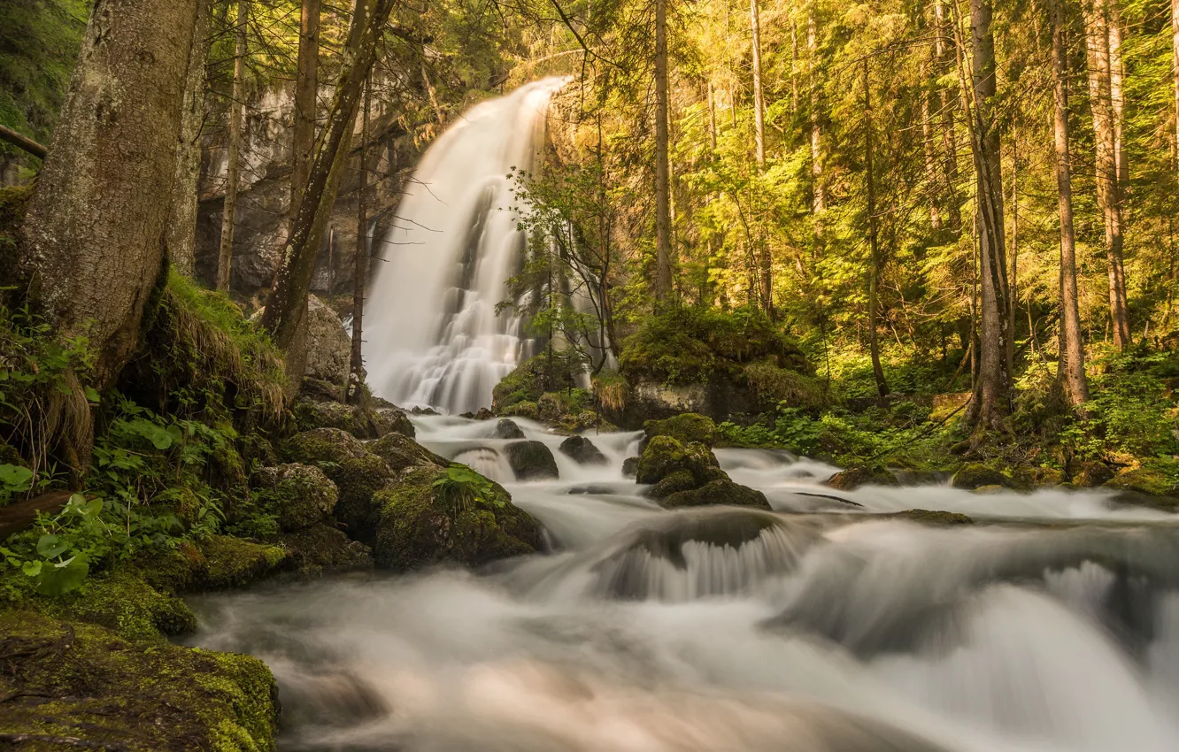 Фото обои лес, деревья, река, водопад, Австрия, Austria, Salzburg, Зальцбург