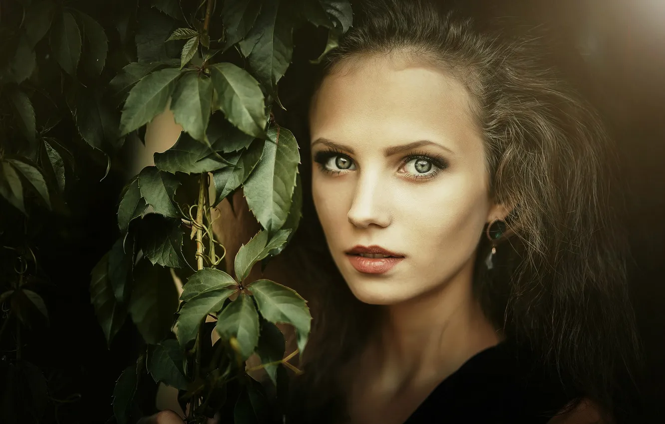 Фото обои взгляд, листья, девушка, свет, ветки, лицо, модель, портрет
