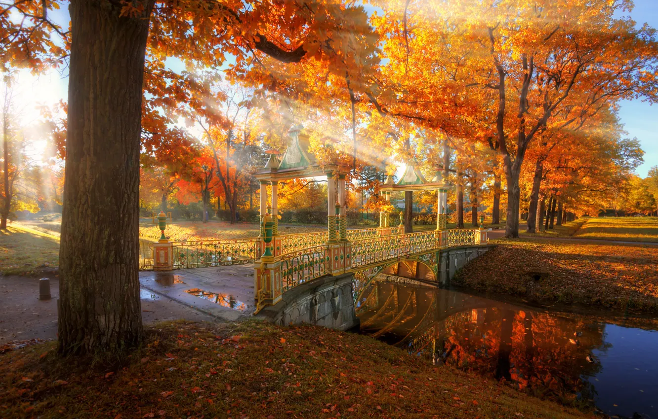 Фото обои осень, лучи, свет, деревья, природа, парк, канал, мостик