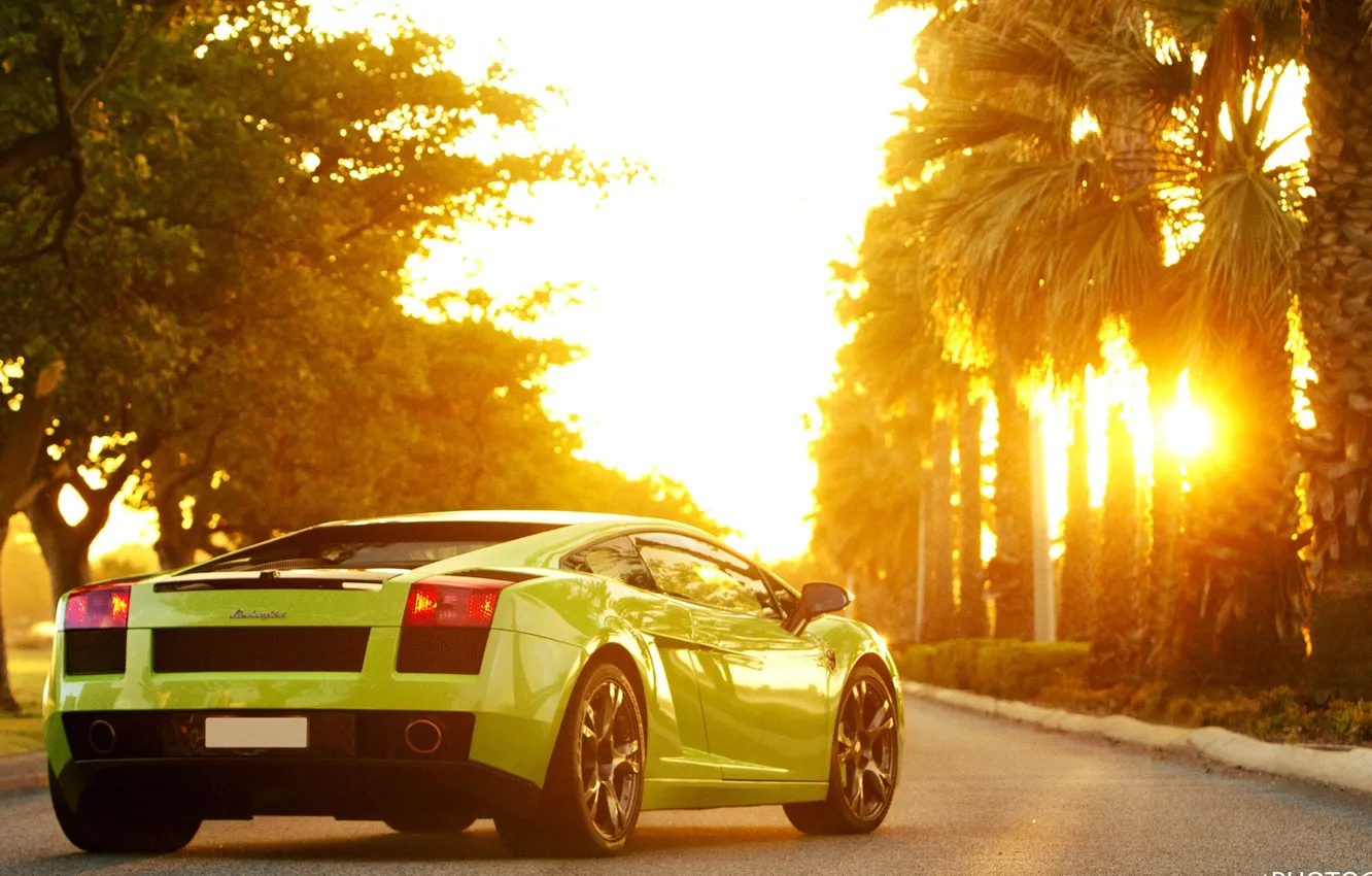 Фото обои Солнце, Машина, Пальмы, Gallardo, Green, Lamborgini, Sun, Ламборгини