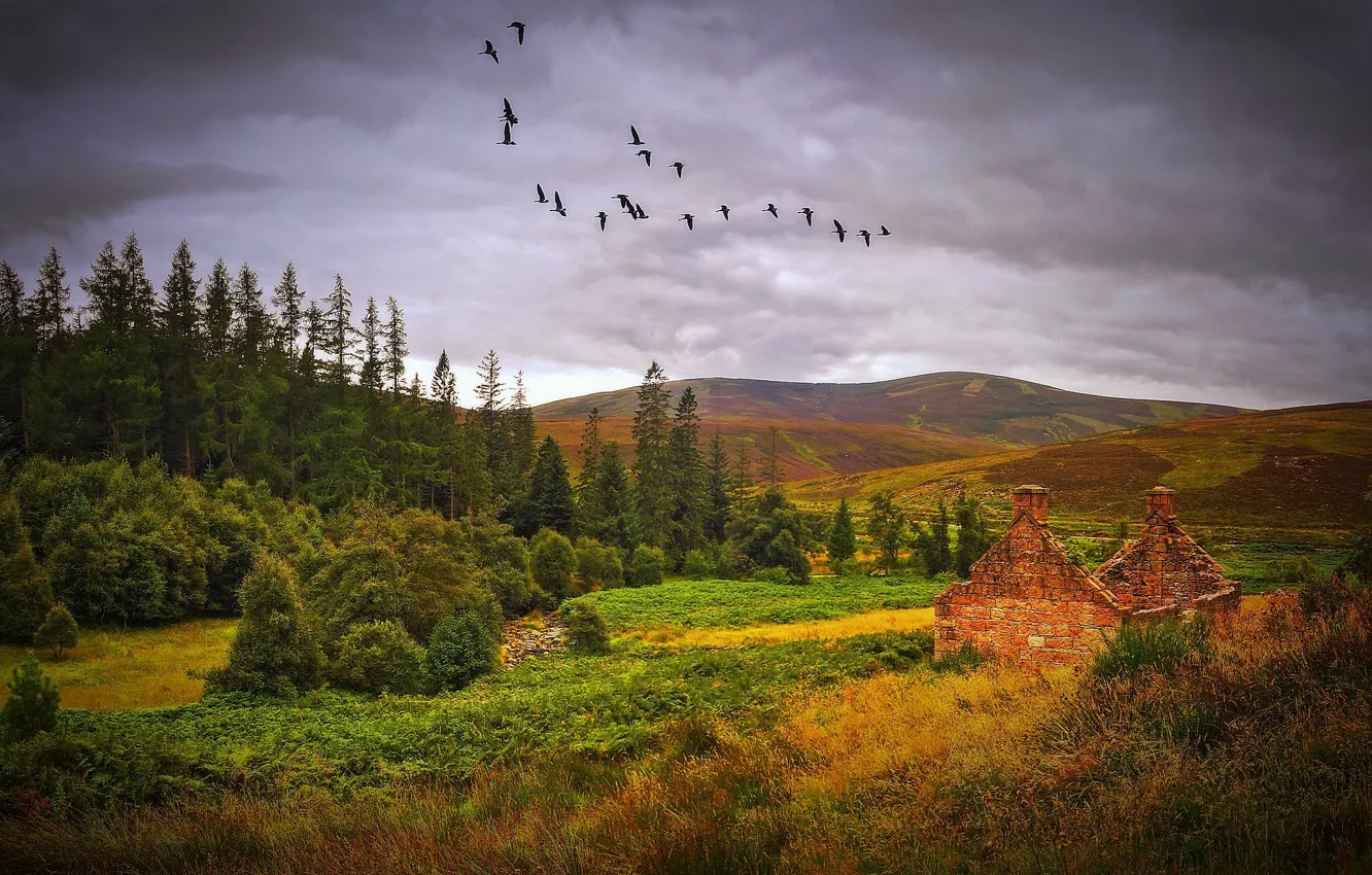 Фото обои осень, пейзаж, Шотландия