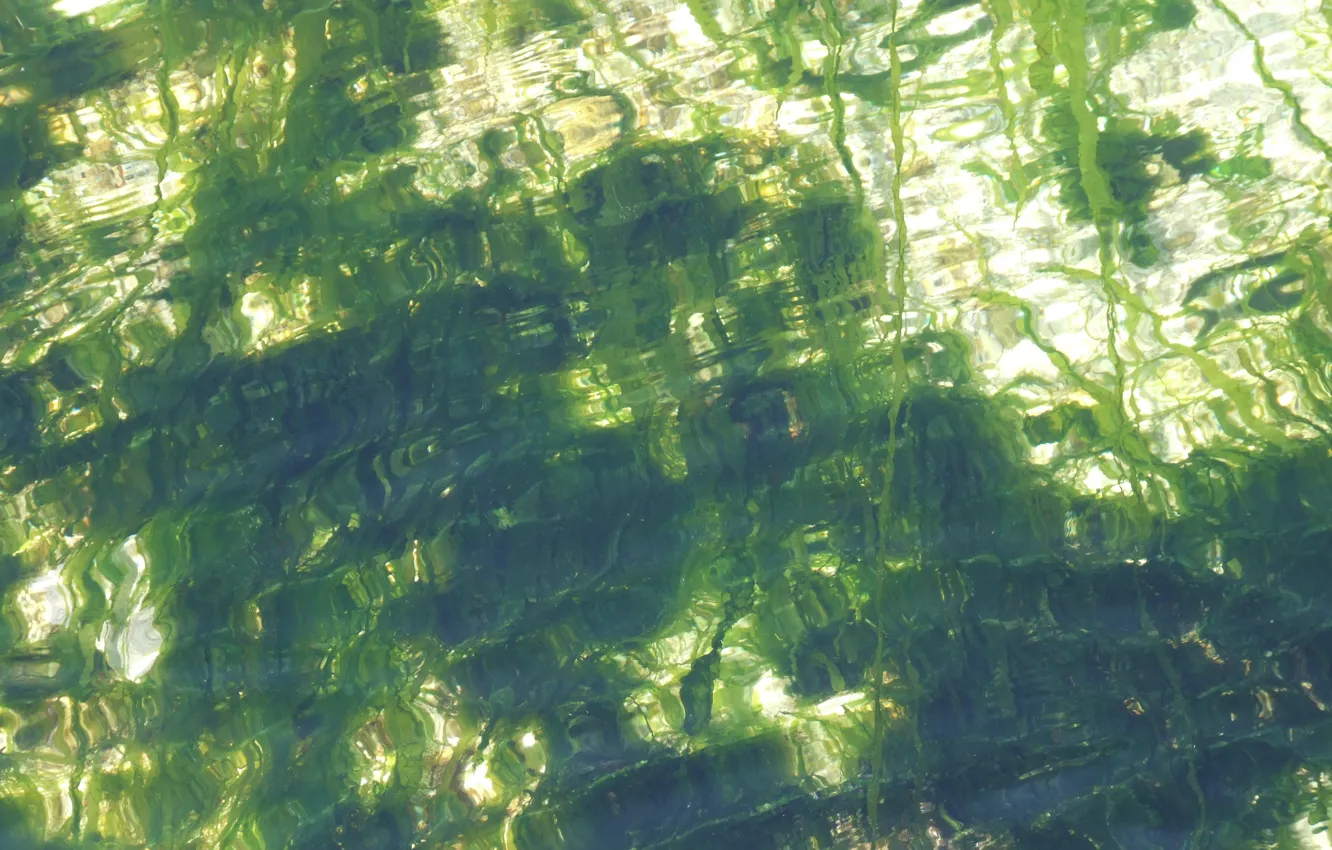 Фото обои green, wallpaper, white, sea, texture, water, wave, glitter