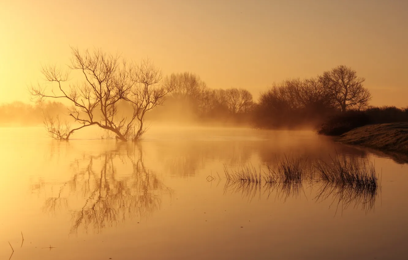 Фото обои пейзаж, природа, туман, озеро, утро