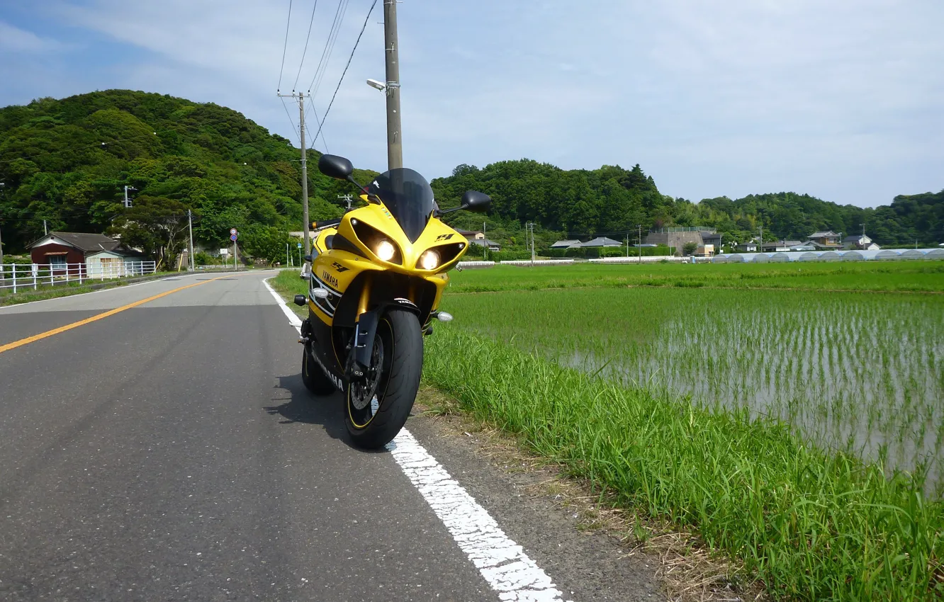 Фото обои Yellow, YZF-R1, Front view