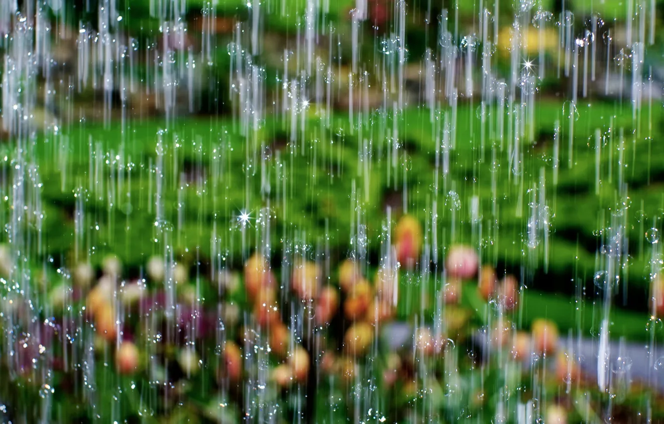 Фото обои капли, макро, дождь, водопад