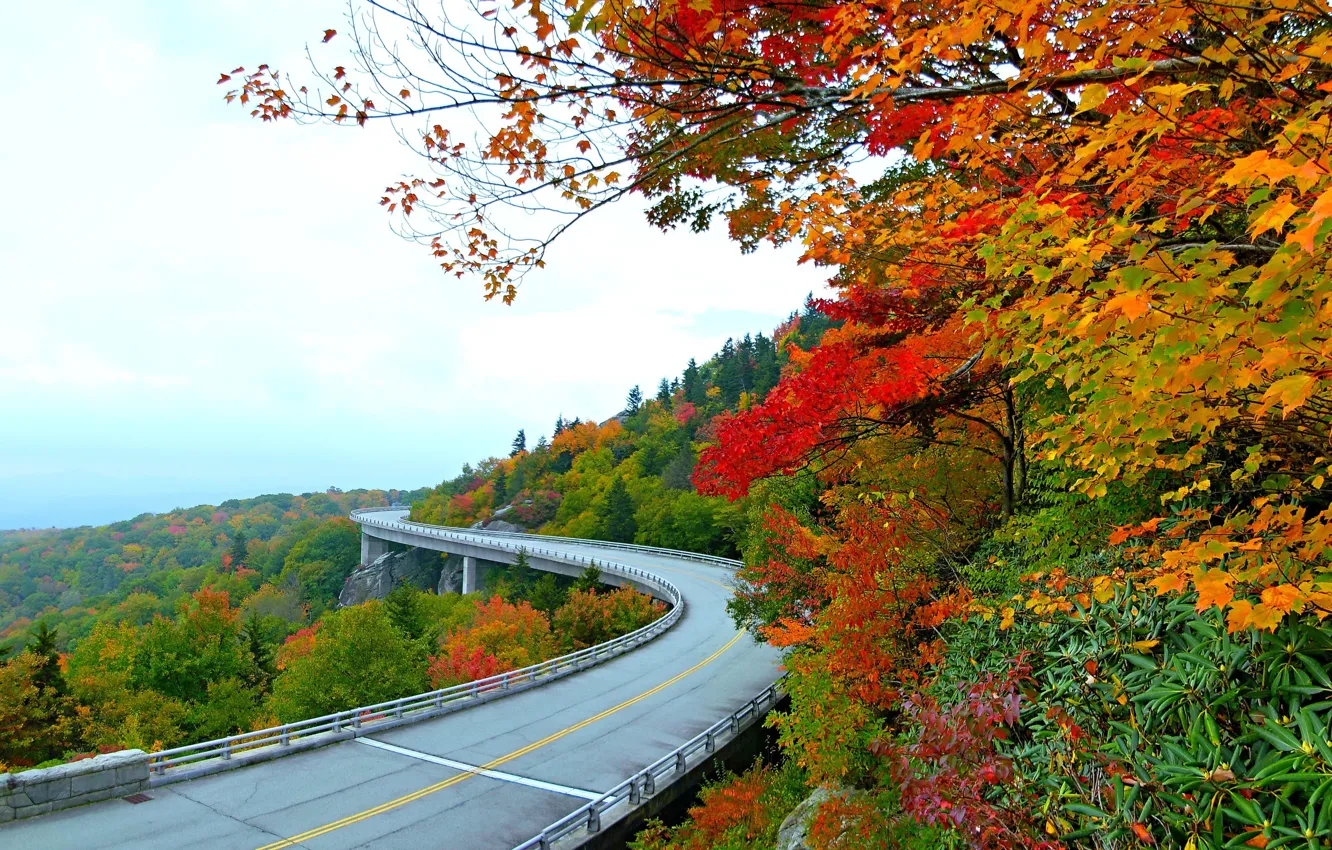 Фото обои осень, холмы, автобан