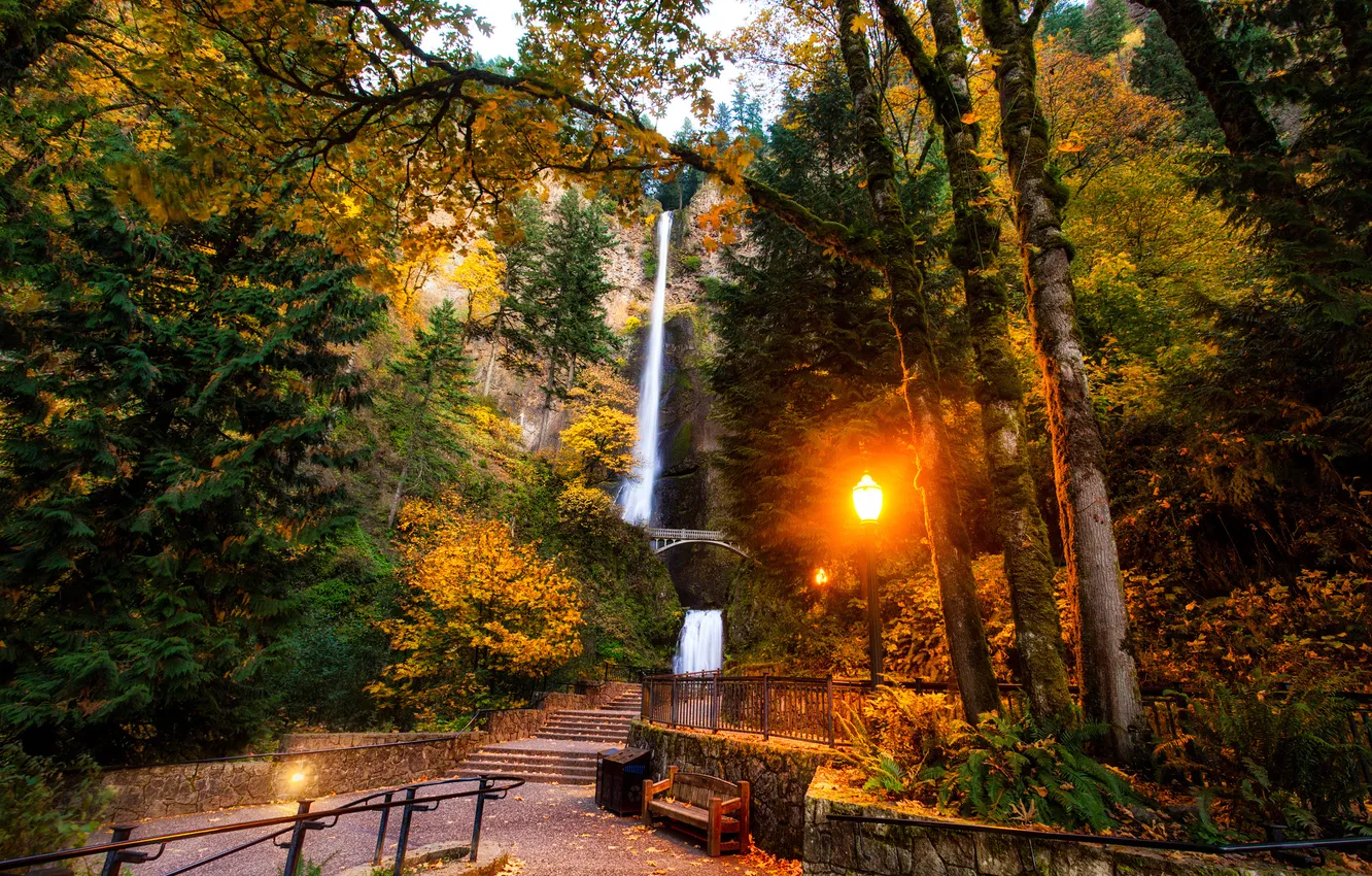 Фото обои лес, деревья, скамейка, мост, парк, водопад, фонарь, сша