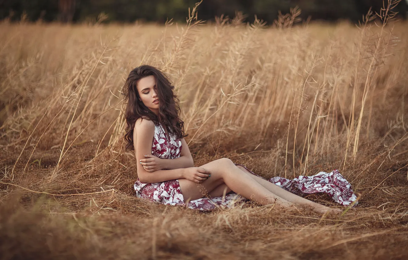 Фото обои поле, лето, девушка, поза, нежность, платье, прикосновение, шатенка