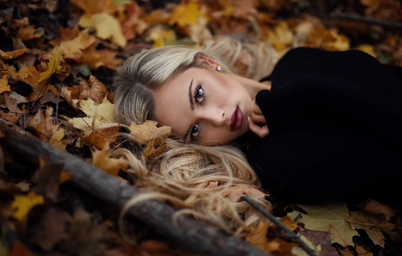 Фото обои осень, взгляд, листья, губки, Jesse Herzog, Keilih