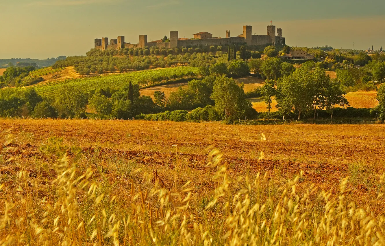 Фото обои поле, пейзаж, стена, башня, Италия, Тоскана, Монтериджони