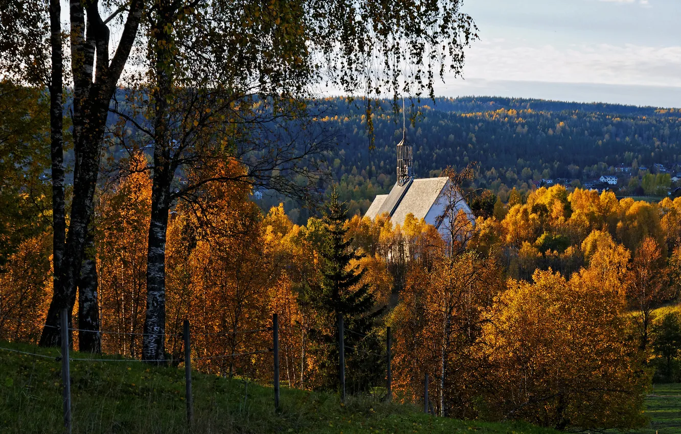Фото обои осень, лес, деревья, горы, ветки, вид, даль, склон